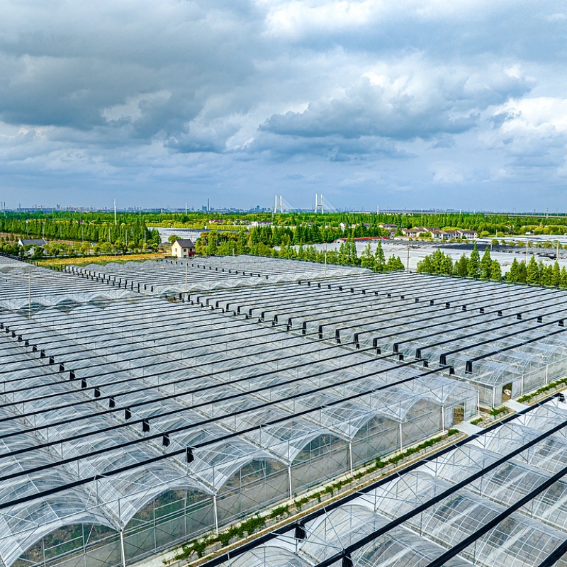 Latest company case about Modern vegetable greenhouse